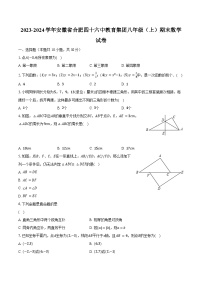 2023-2024学年安徽省合肥四十六中教育集团八年级（上）期末数学试卷（含解析）