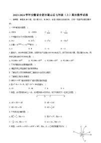 2023-2024学年安徽省合肥市蜀山区七年级（上）期末数学试卷（含解析）