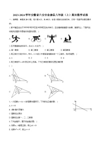 2023-2024学年安徽省六安市金寨县八年级（上）期末数学试卷（含解析）