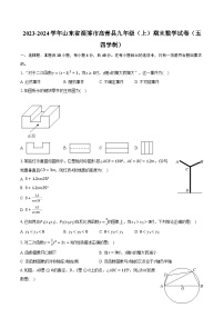 2023-2024学年山东省淄博市高青县九年级（上）期末数学试卷（五四学制）（含解析）