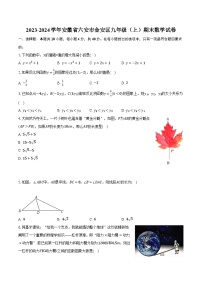 2023-2024学年安徽省六安市金安区九年级（上）期末数学试卷（含解析）