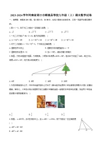 2023-2024学年河南省周口市郸城县等校九年级（上）期末数学试卷（含解析）