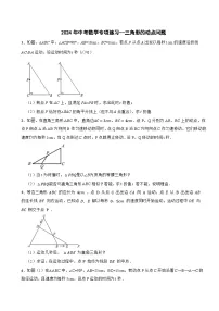 2024年中考数学专项练习--三角形的动点问题