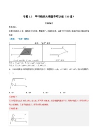 浙教版七年级下册数学举一反三系列 专题1.3 平行线四大模型专项训练（40道）（学生版+教师版）