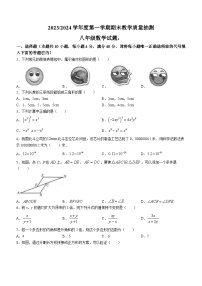 安徽省合肥市庐江县2023-2024学年八年级上学期期末数学试题