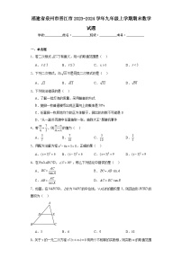 福建省泉州市晋江市2023-2024学年九年级上学期期末数学试题(含答案)