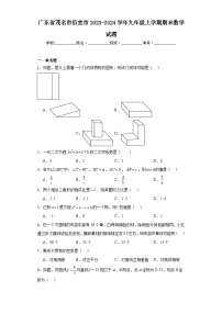 广东省茂名市信宜市2023-2024学年九年级上学期期末数学试题(含答案)