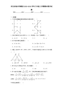 河北省沧州市献县2023-2024学年八年级上学期期末数学试题(含答案)