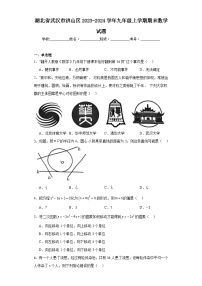 湖北省武汉市洪山区2023-2024学年九年级上学期期末数学试题(含答案)