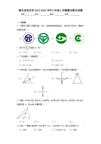 湖北省宜昌市2023-2024学年八年级上学期期末数学试题(含答案)