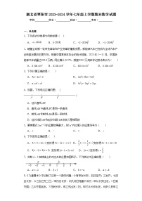 湖北省枣阳市2023-2024学年七年级上学期期末数学试题(含答案)