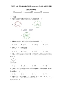 内蒙古自治区乌海市海勃湾区2023-2024学年九年级上学期期末数学试题(含答案)