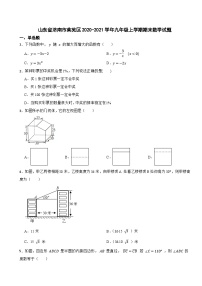 山东省济南市莱芜区2020-2021学年九年级上学期期末数学试题