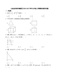 山东省济南市槐荫区2020-2021学年九年级上学期期末数学试题