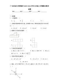 广东省汕头市澄海区2023-2024学年七年级上学期期末数学试题(含答案)