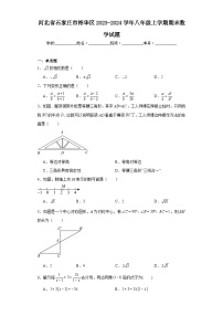 河北省石家庄市裕华区2023-2024学年八年级上学期期末数学试题(含答案)