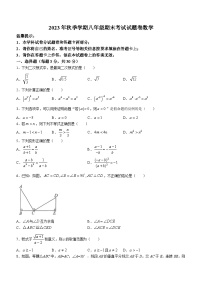 湖南省邵阳市隆回县2023-2024学年八年级上学期期末数学试题