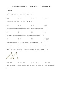 辽宁省抚顺市望花区2022-2023学年八年级上学期阶段练习（一）数学月考试题