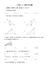 山东省临沂市平邑塞博中学2022-2023学年八年级上学期第一次月考数学试题