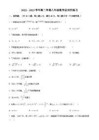 福建省福州延安中学2022-2023学年八年级下学期适应性练习数学试卷