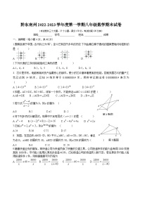 贵州省黔东南州2022-2023学年八年级上学期期末文化水平测试数学试卷(含答案)