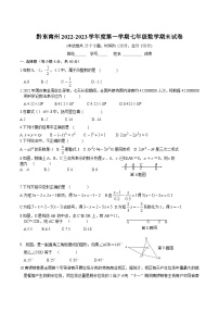 贵州省黔东南州2022-2023学年七年级上学期期末文化水平测试数学试卷(含答案)