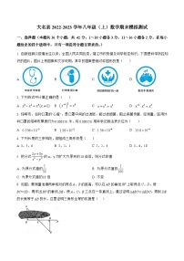 河北省邯郸市大名县2022-2023学年八年级上学期期末模拟测试数学试卷(含解析)