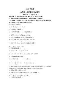 湖南省衡阳市衡南县2023-2024学年八年级上学期期中数学试卷(含答案)