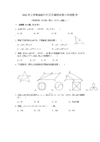 湖南岳阳临湘市第六中学2021-2022学年八年级下学期第一次月考数学试题