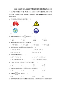 重庆市沙坪坝区2021-2022学年八年级下学期数学月考试卷（WORD版无答案）