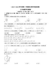 安徽省安庆市怀宁县2023-2024学年九年级上学期期末数学试题