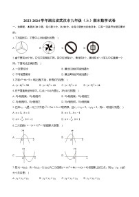 湖北省武汉市2023-2024学年九年级上学期期末数学试卷+