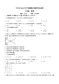 湖南省长沙市宁乡市2023-2024学年八年级上学期期末数学试题