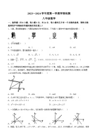 江苏省宿迁市沭阳县2023-2024学年八年级上学期期末数学试题