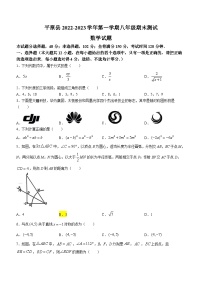 山东省德州市平原县2023-2024学年八年级上学期期末数学试题