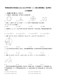 河南省信阳市淮滨县2023-2024学年九年级上学期期末数学试题