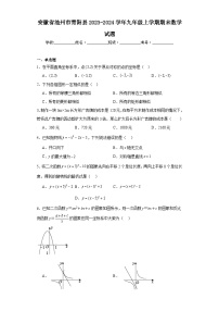 安徽省池州市青阳县2023-2024学年九年级上学期期末数学试题(含答案)