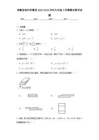 安徽省宿州市萧县2023-2024学年九年级上学期期末数学试题(含答案)