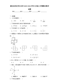 湖北省武汉市江汉区2023-2024学年七年级上学期期末数学试题(含答案)