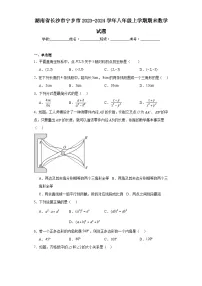 湖南省长沙市宁乡市2023-2024学年八年级上学期期末数学试题(含答案)