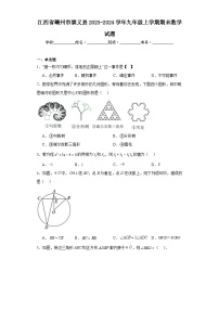 江西省赣州市崇义县2023-2024学年九年级上学期期末数学试题(含答案)