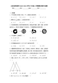 云南省昭通市2023-2024学年八年级上学期期末数学试题(含答案)