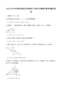 2022-2023学年湖北省武汉市蔡甸区八年级上学期期中数学试题及答案