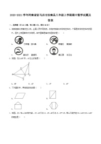 2020-2021学年河南省驻马店市汝南县八年级上学期期中数学试题及答案