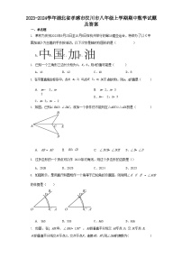 2023-2024学年湖北省孝感市汉川市八年级上学期期中数学试题及答案