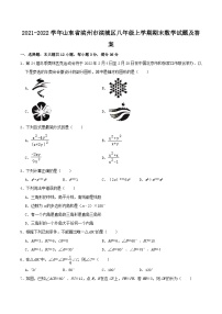 2021-2022学年山东省滨州市滨城区八年级上学期期末数学试题及答案