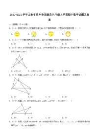 2020-2021学年山东省滨州市无棣县八年级上学期期中数学试题及答案