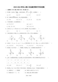 河南省郑州枫杨外国语学校2023-2024学年上学期八年级数学期中试卷