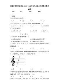 福建省泉州市惠安县2023-2024学年九年级上学期期末数学试题(含答案)