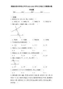 福建省泉州市培元中学2023-2024学年七年级上学期期末数学试题(含答案)